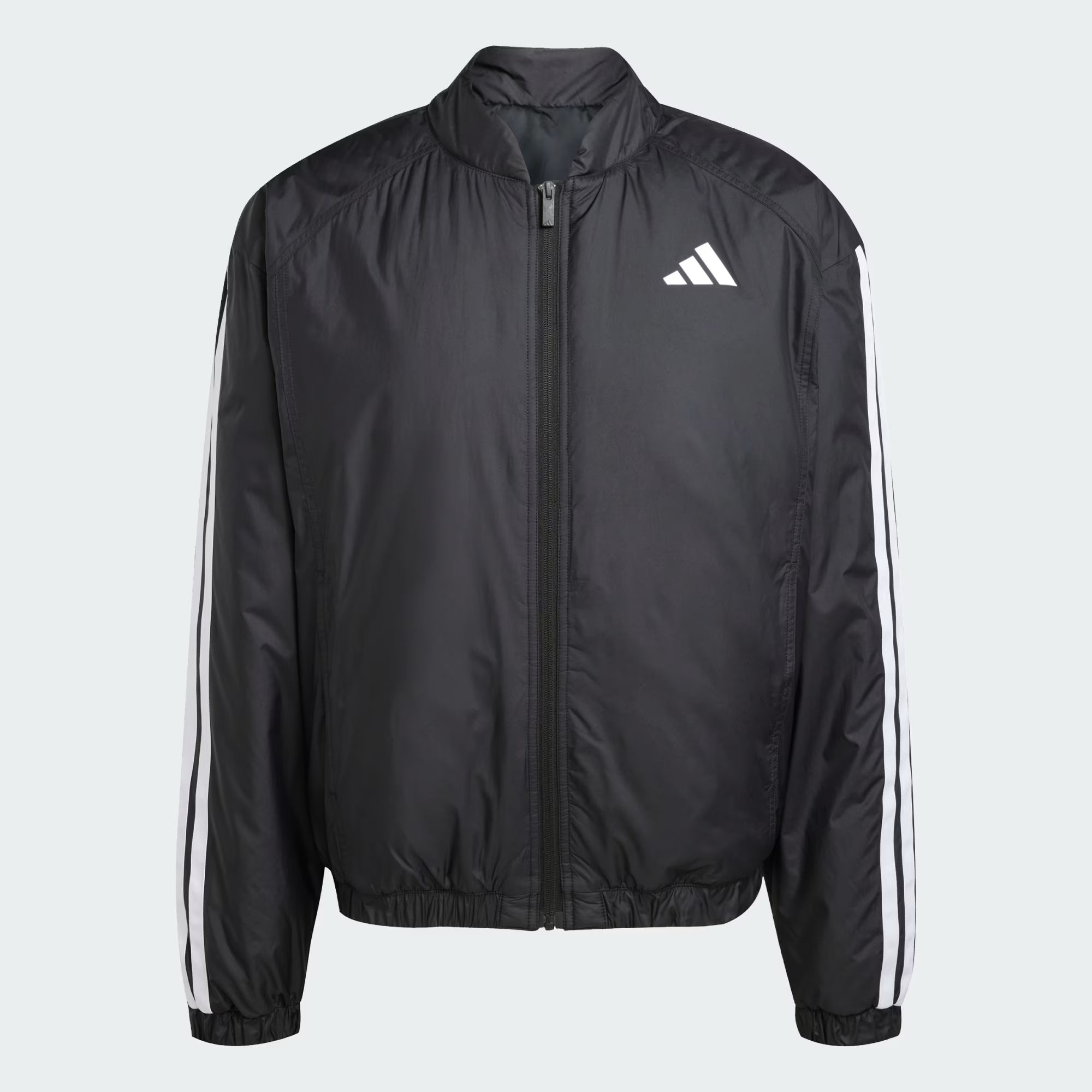 Veste bomber isolante Essentials