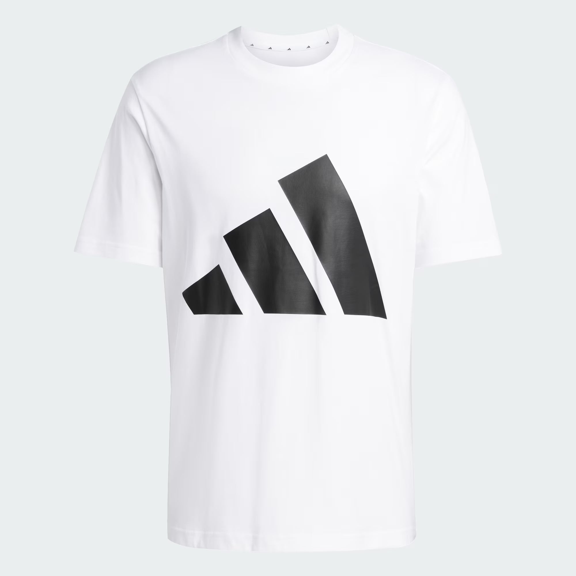 T-shirt Essentials