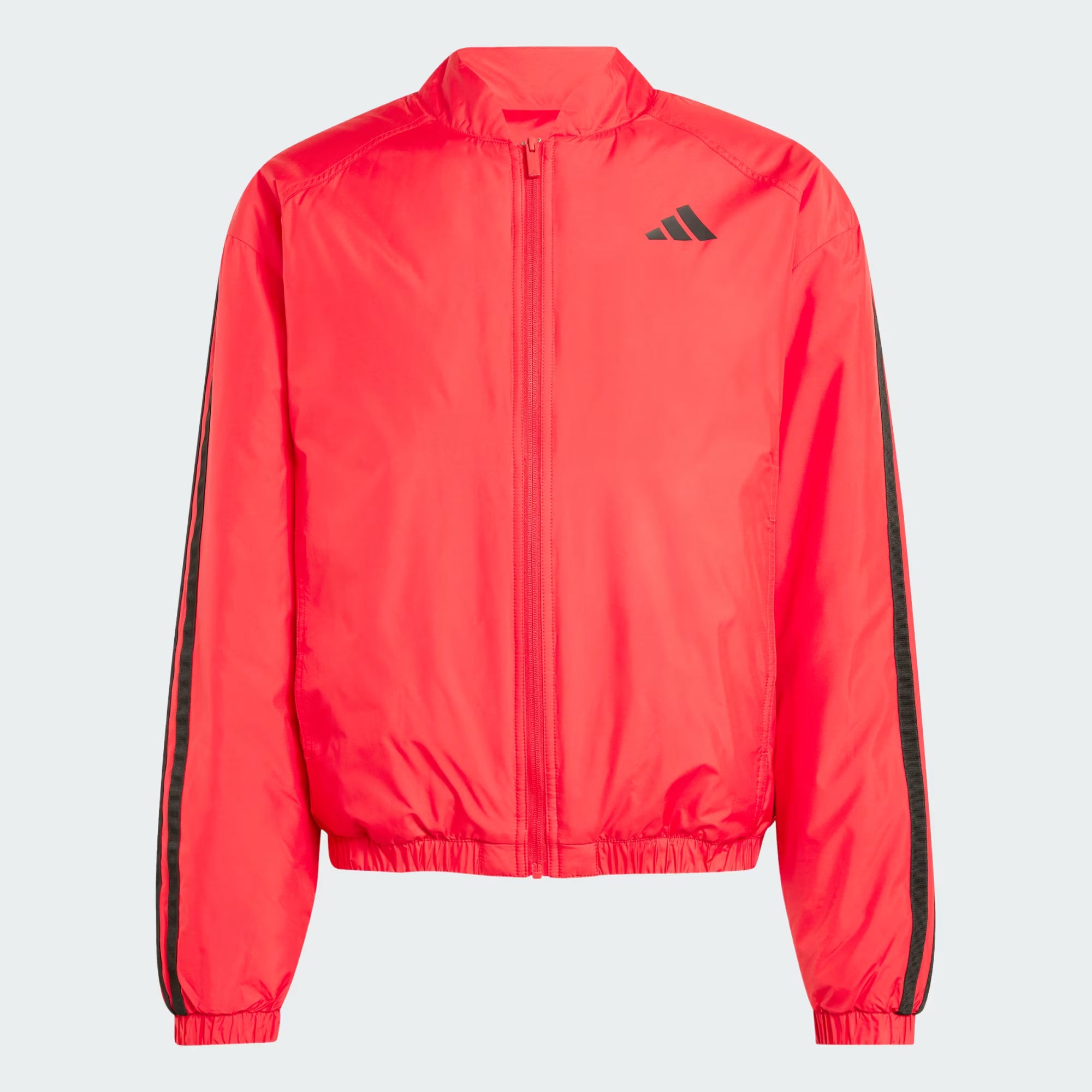 Veste bomber isolante Essentials